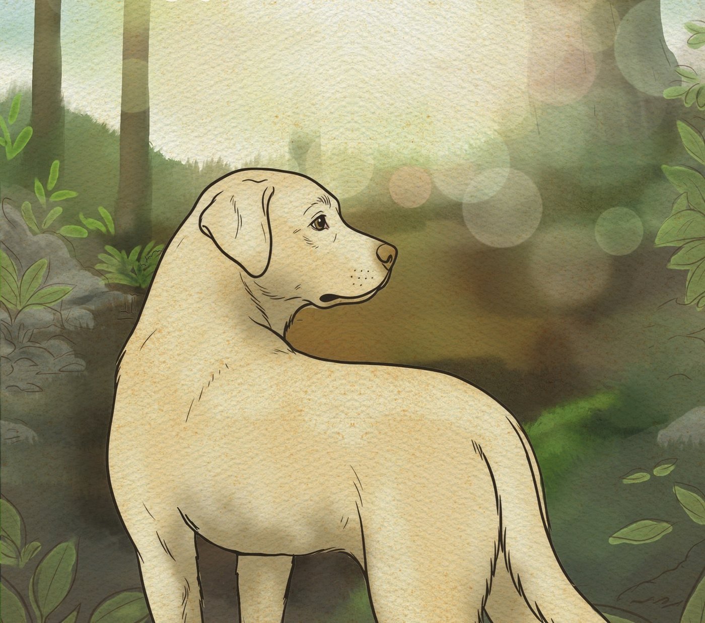 Ilustração do livro: Sétimo, o cão dourado, na mata, olhando para o horizonte