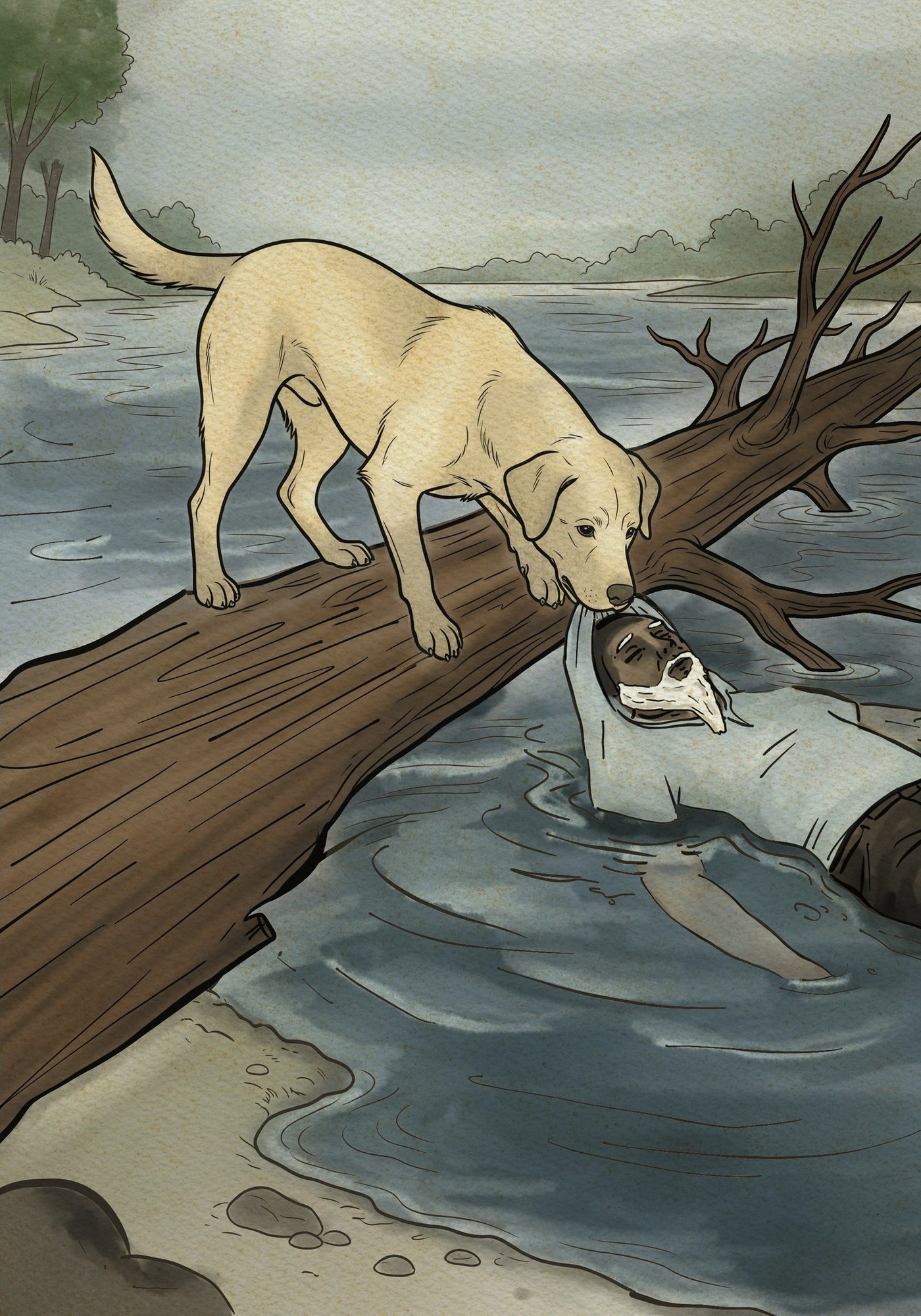 Ilustração do livro: Sétimo sobre um tronco no rio, segurando um homem pela camisa
